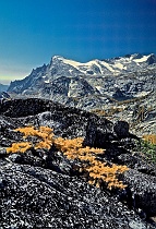 Alpine Larch & Enchantment Basin